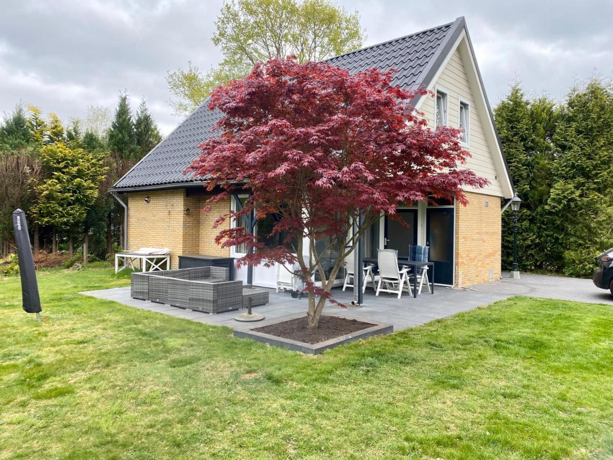 La Casa De Gasselte, Een Gezellig Ruim Huis In Drenthe Pal Naast Het Bos Екстериор снимка